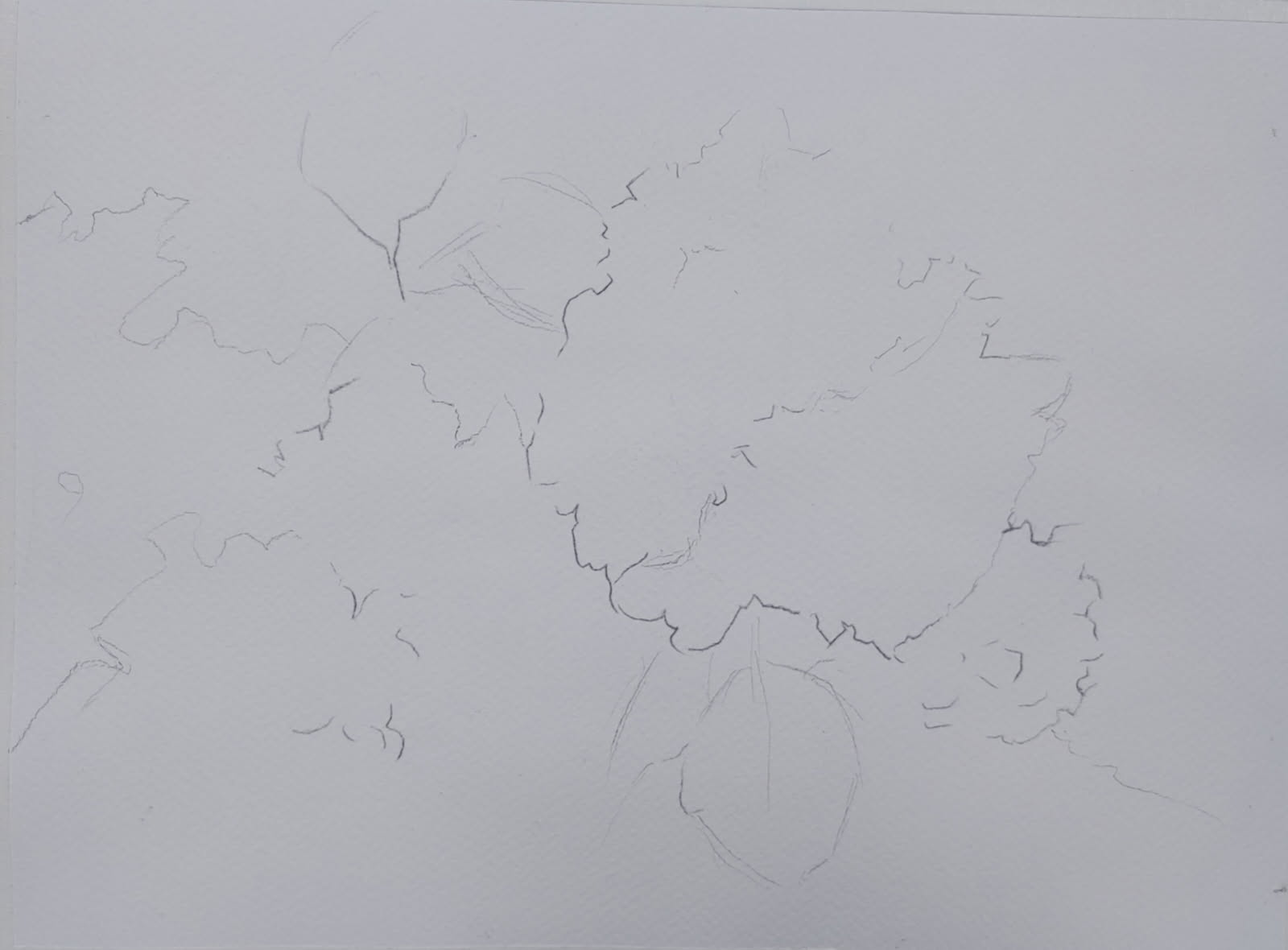 thumbnail image000000