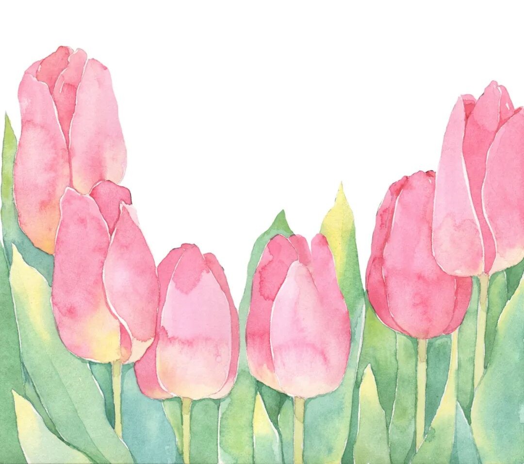 mmexported9d734eff9ca6baa101456a7064dd0e 1761678622632