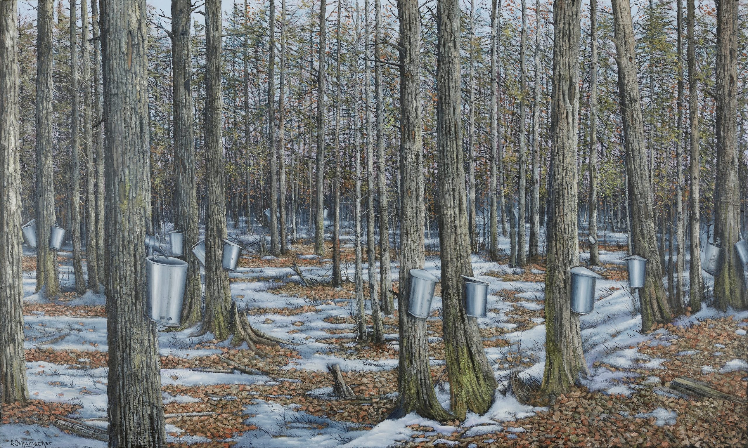 Sugar Bush 36x60in Oil on Canvas